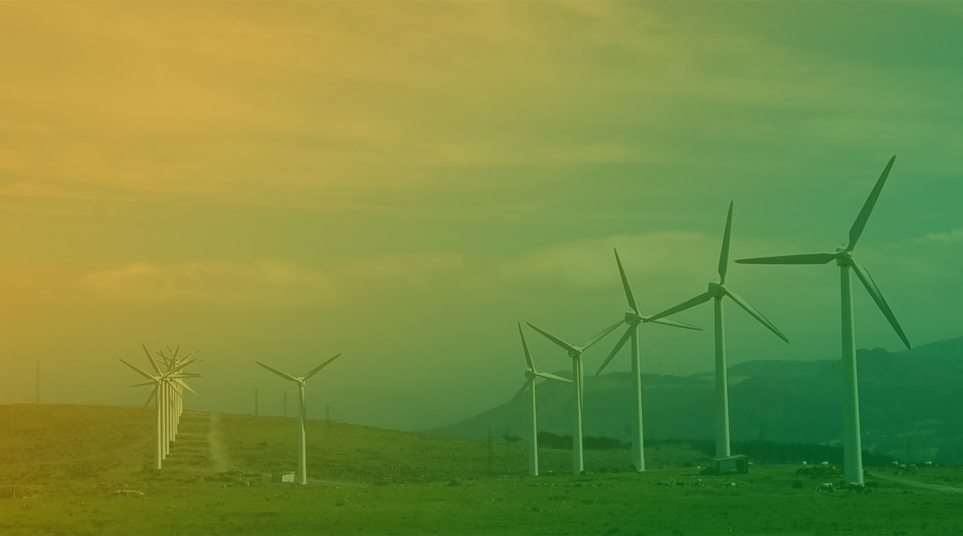 Stichting Green University Foundation