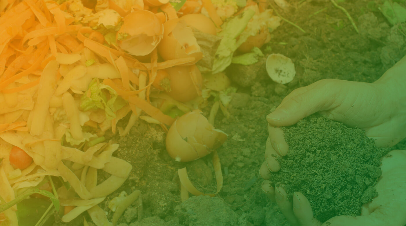 Stichting Green University Foundation